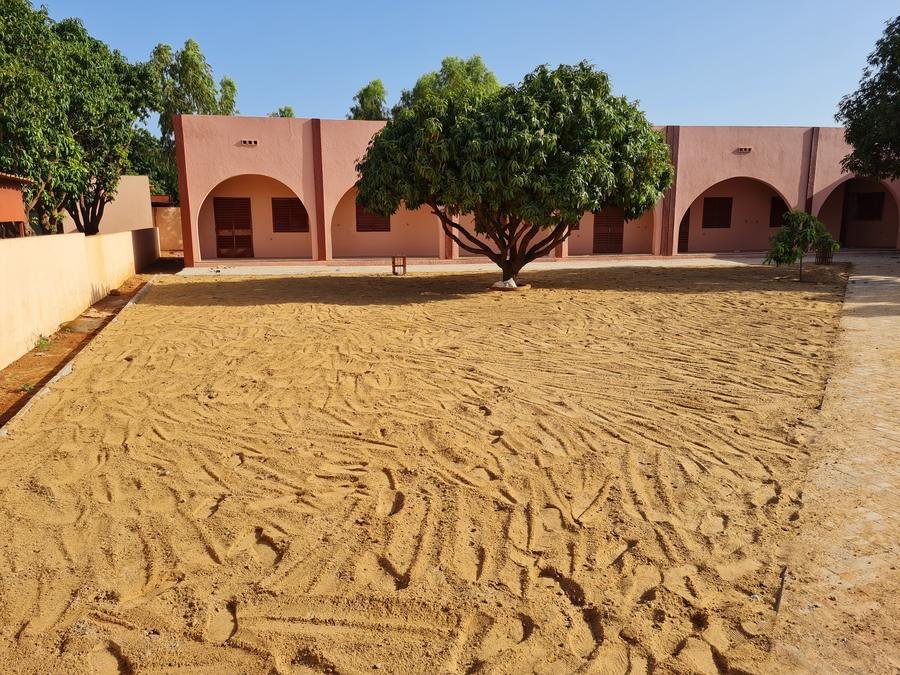 Cour principale ombragée par un grand manguier